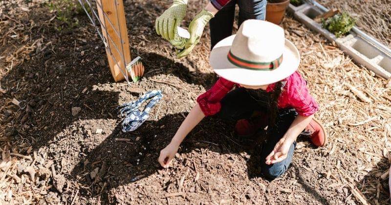 Pexels/RDNE Stock project